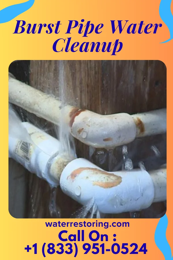 Burst Pipe Water Cleanup in Harbor Beach, MI