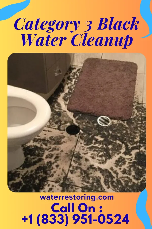 Category 3 Black Water Cleanup in Harbor Beach, MI