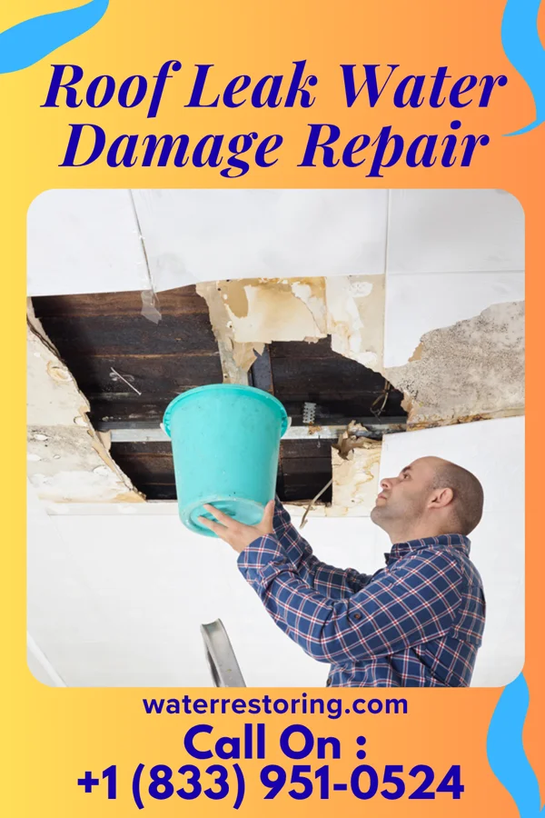 Roof Leak Water Damage Repair in Harbor Beach, MI
