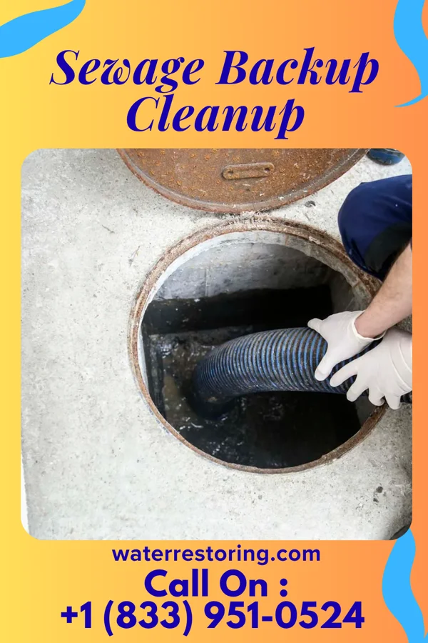 Sewage Backup Cleanup in Harbor Beach, MI